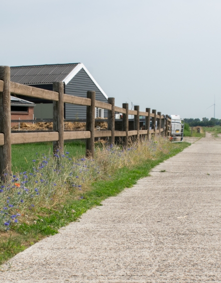 mentink-hoeve-stal-mentink-hoeve-2